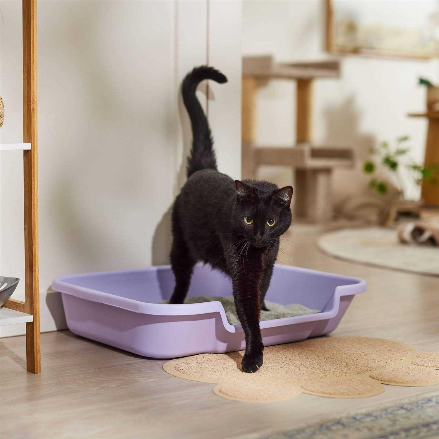 Senior Cat Litter Box N64552
