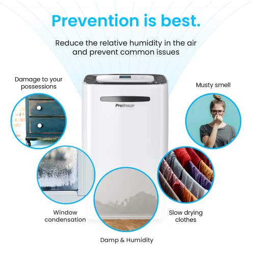 Compact Electric Mini Dehumidifier, 2200 Cubic Feet D712900