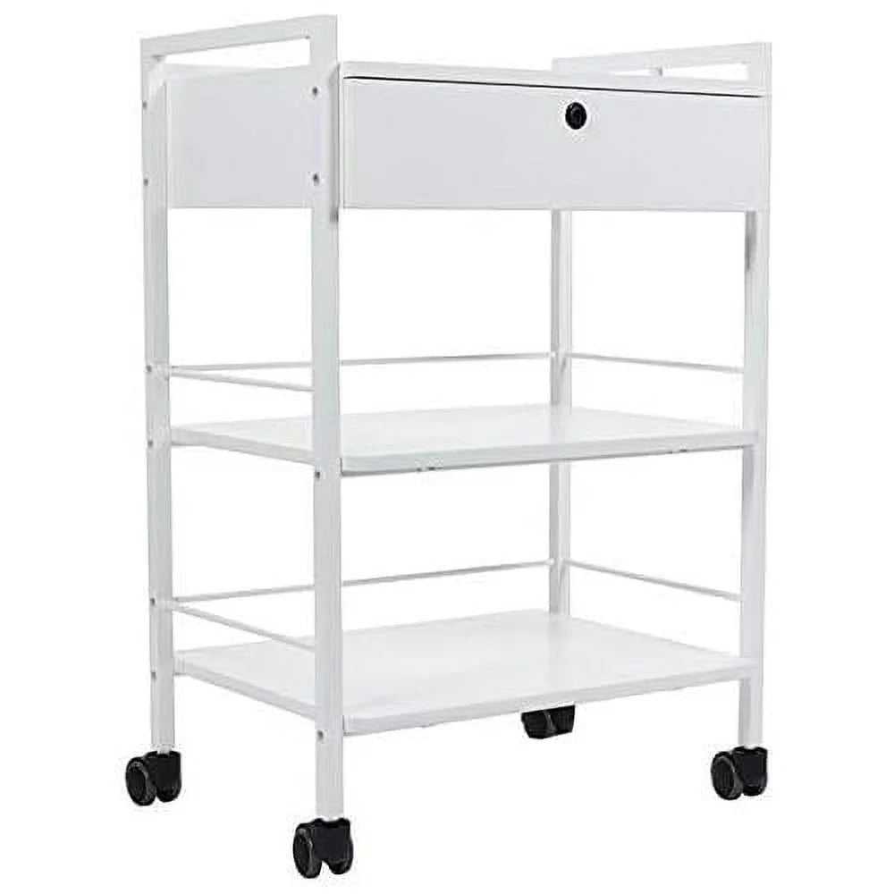 Mobile Utility Cabinet With Steel Frame And One Drawer Q3655