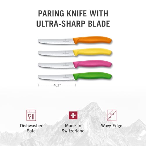 4-Piece Paring Knife Set B21139