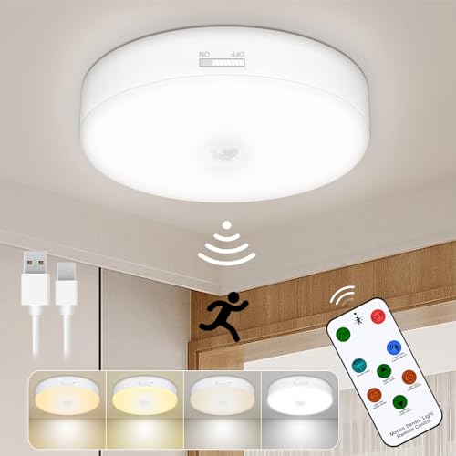 2 Pack Rechargeable Motion Sensor Ceiling Light P824