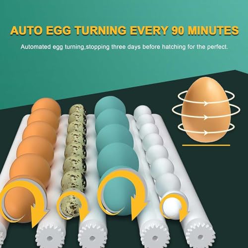 16 Egg Incubator with Automatic Egg Turning and Humidity Control U2001