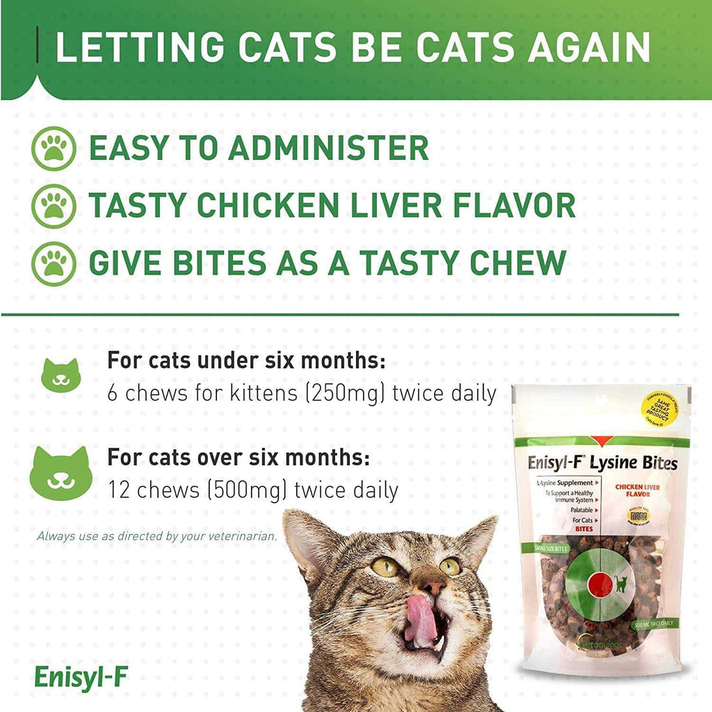L-Lysine Chews for Cats F3464