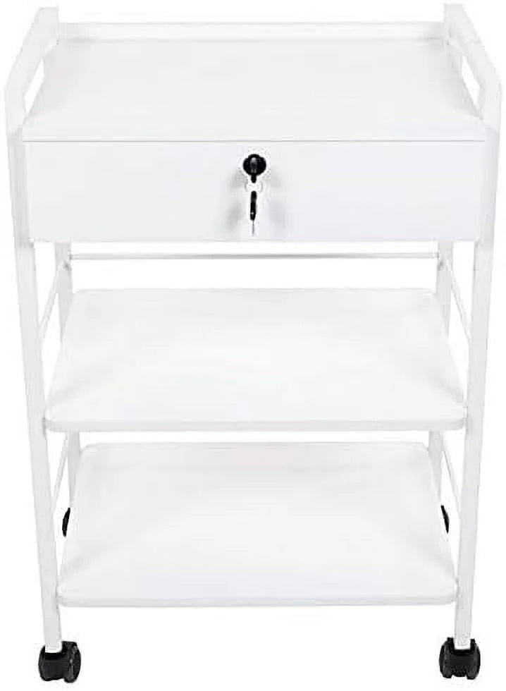 Mobile Utility Cabinet With Steel Frame And One Drawer Q3655